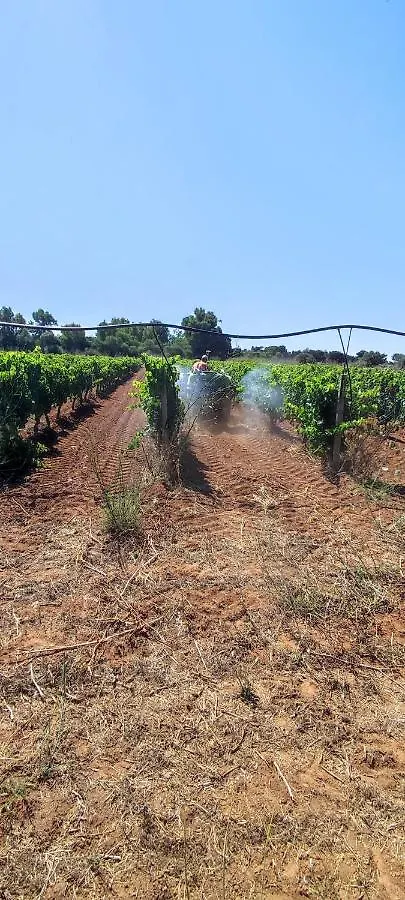 Agriturismo Bellu 里奥拉萨尔多 意大利