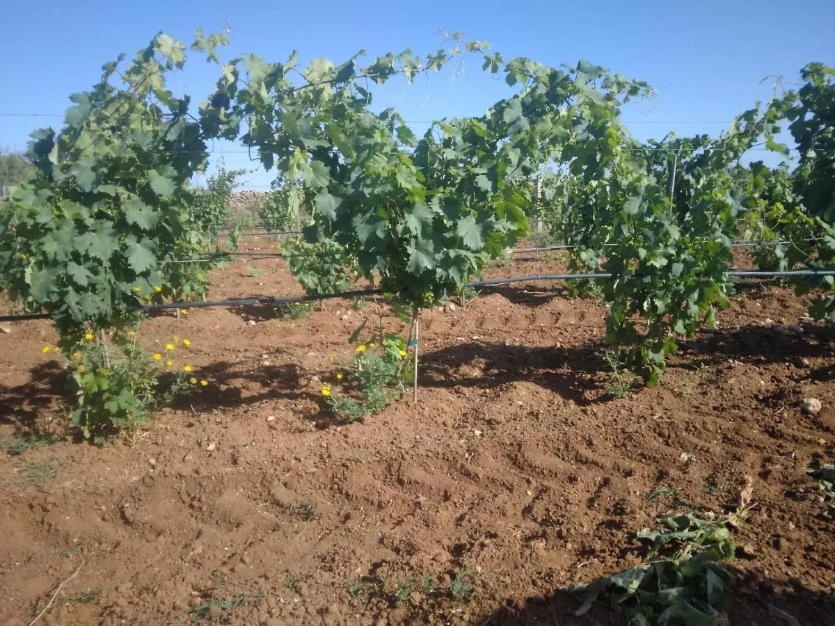 Agriturismo Bellu 里奥拉萨尔多