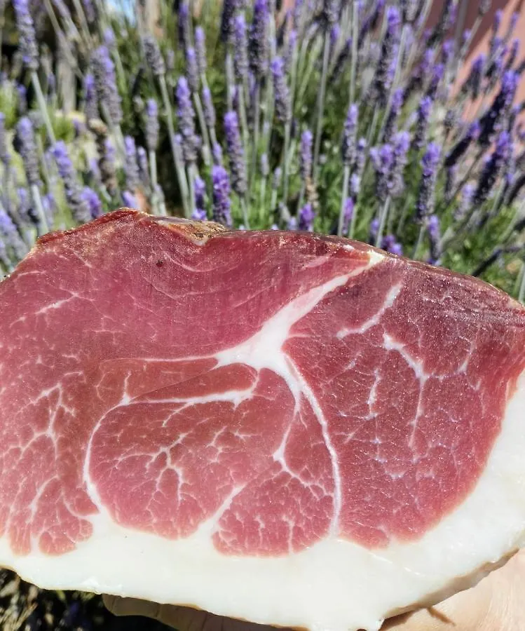 Alloggio per agriturismo Agriturismo Bellu Riola Sardo Italia