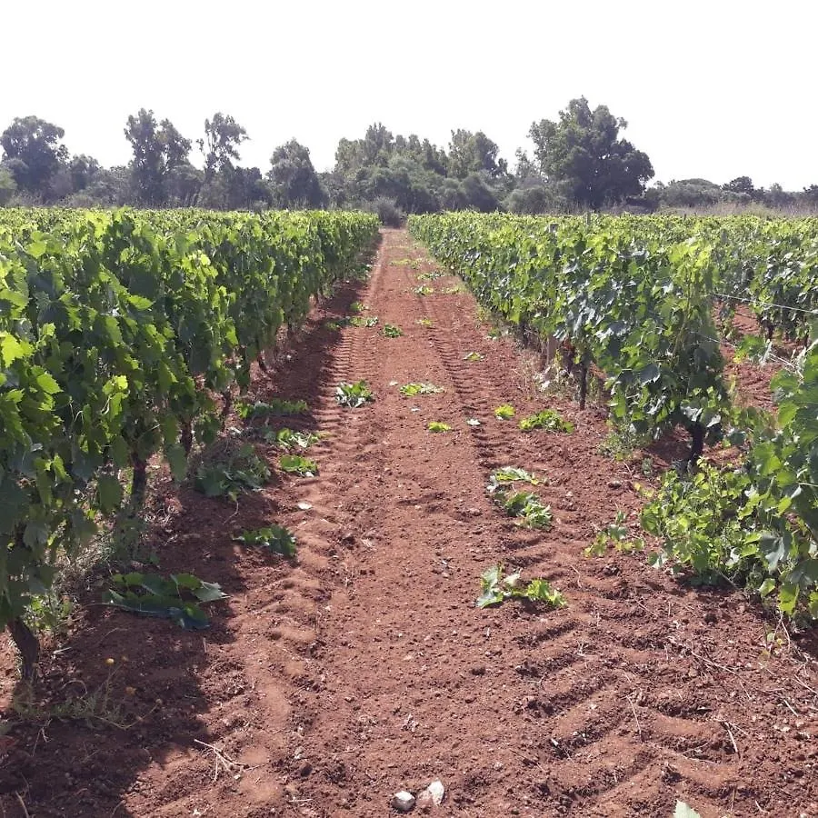 Agriturismo Bellu Riola Sardo Alloggio per agriturismo